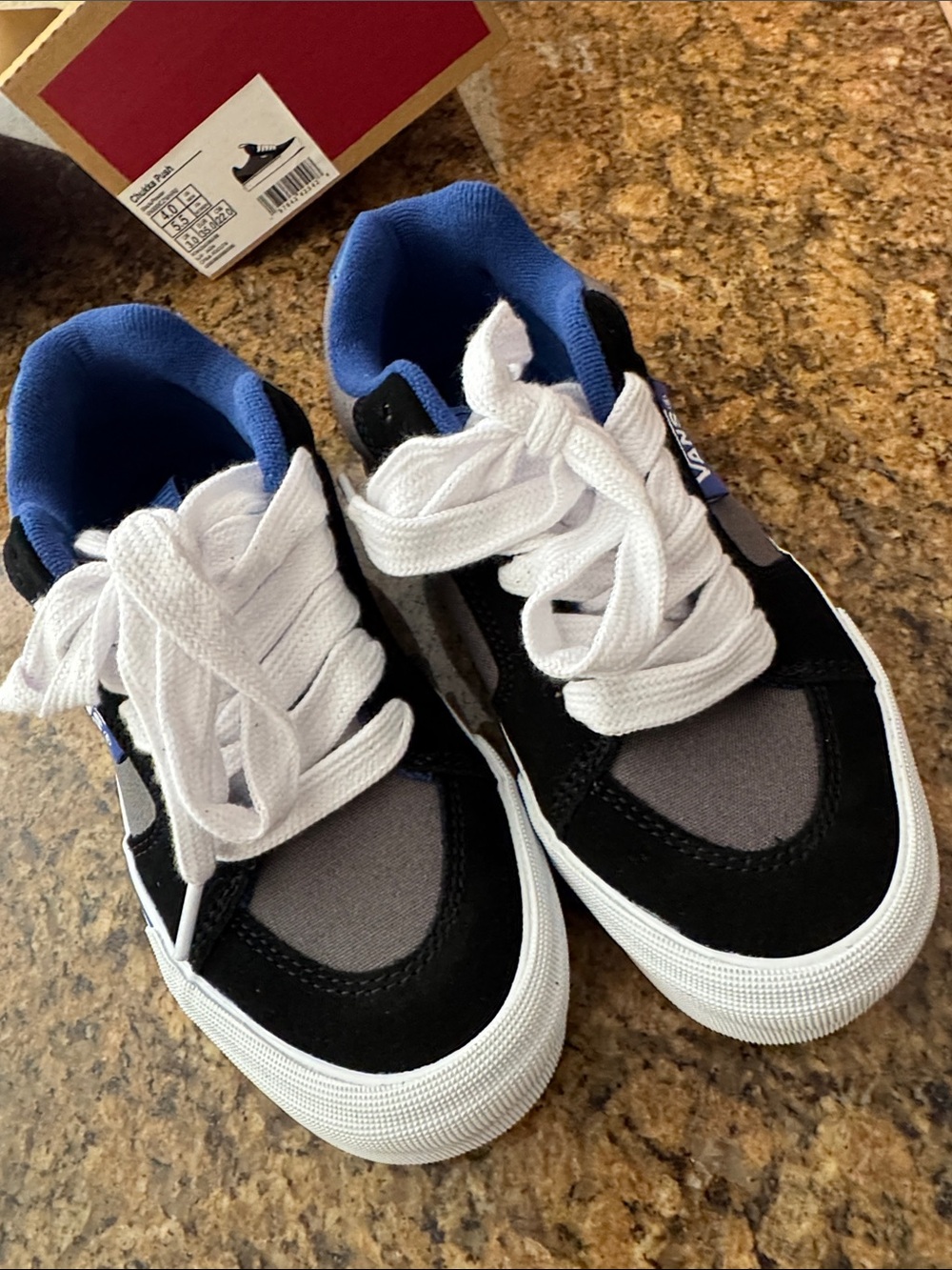 CHUKKA PUSH SKATE Vans Kids Sneakers